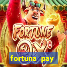 fortuna pay consultoria financeira ltda